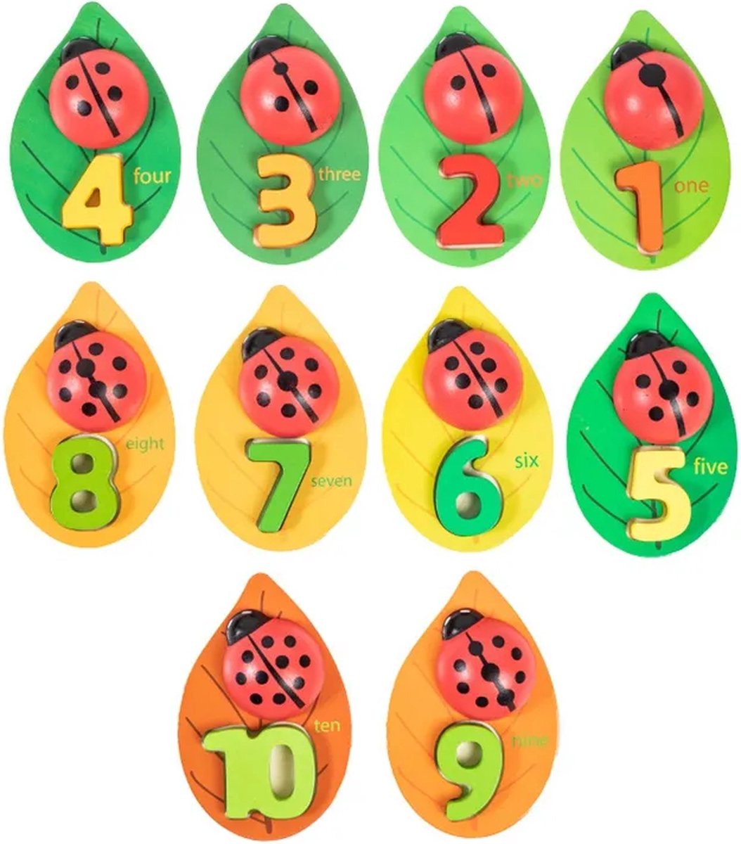 Narges®|Counting with Ladybirds