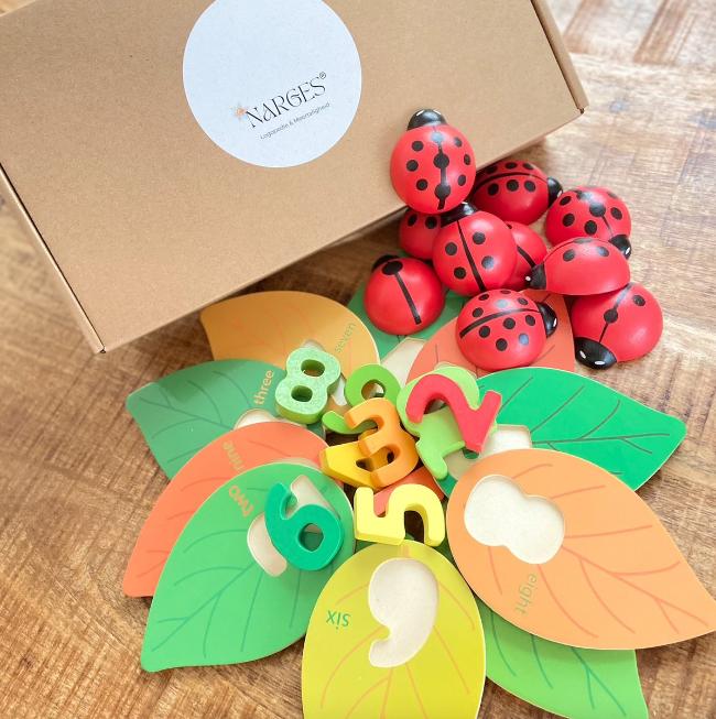 Narges®|Counting with Ladybirds