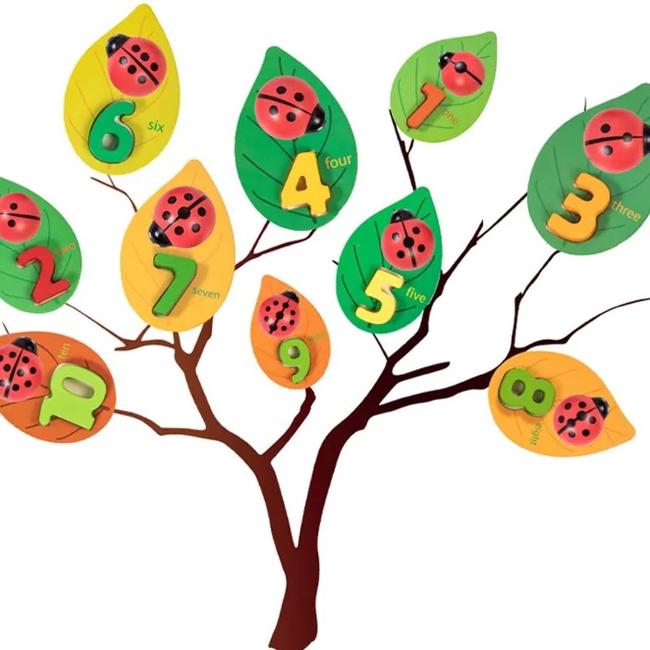 Narges®|Counting with Ladybirds