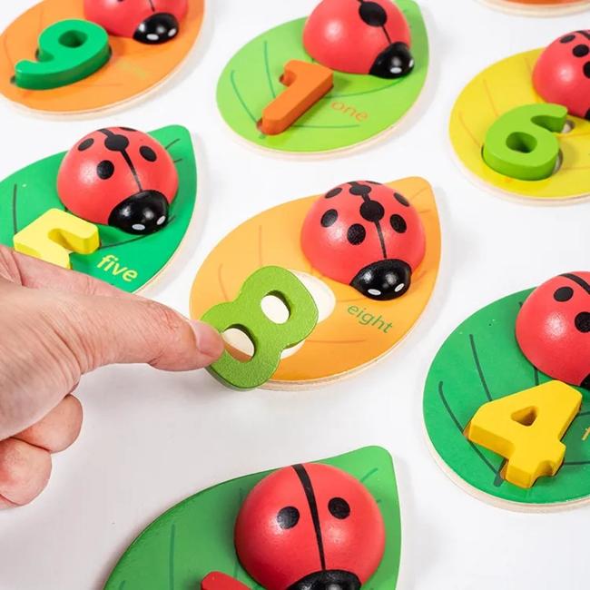 Narges®|Counting with Ladybirds
