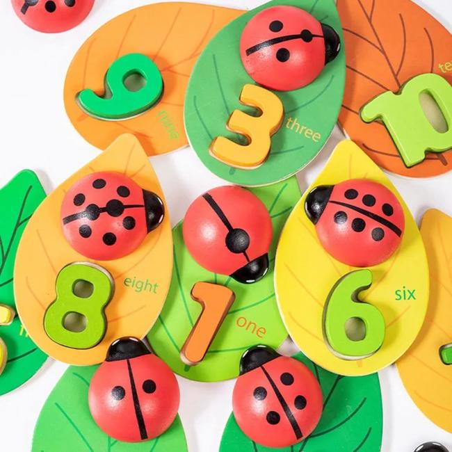 Narges®|Counting with Ladybirds