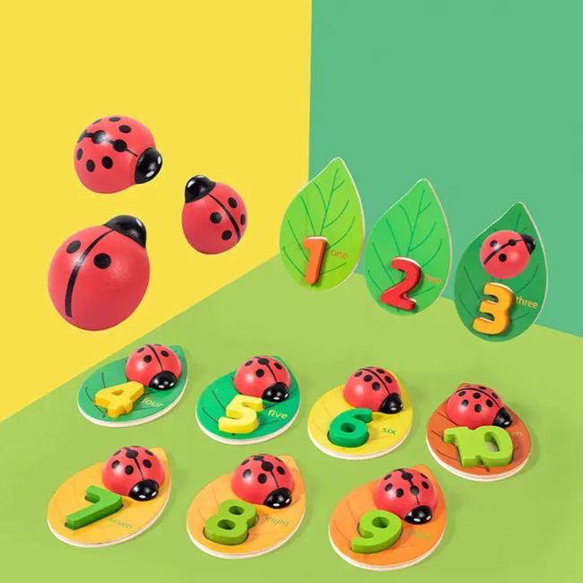 Narges®|Counting with Ladybirds