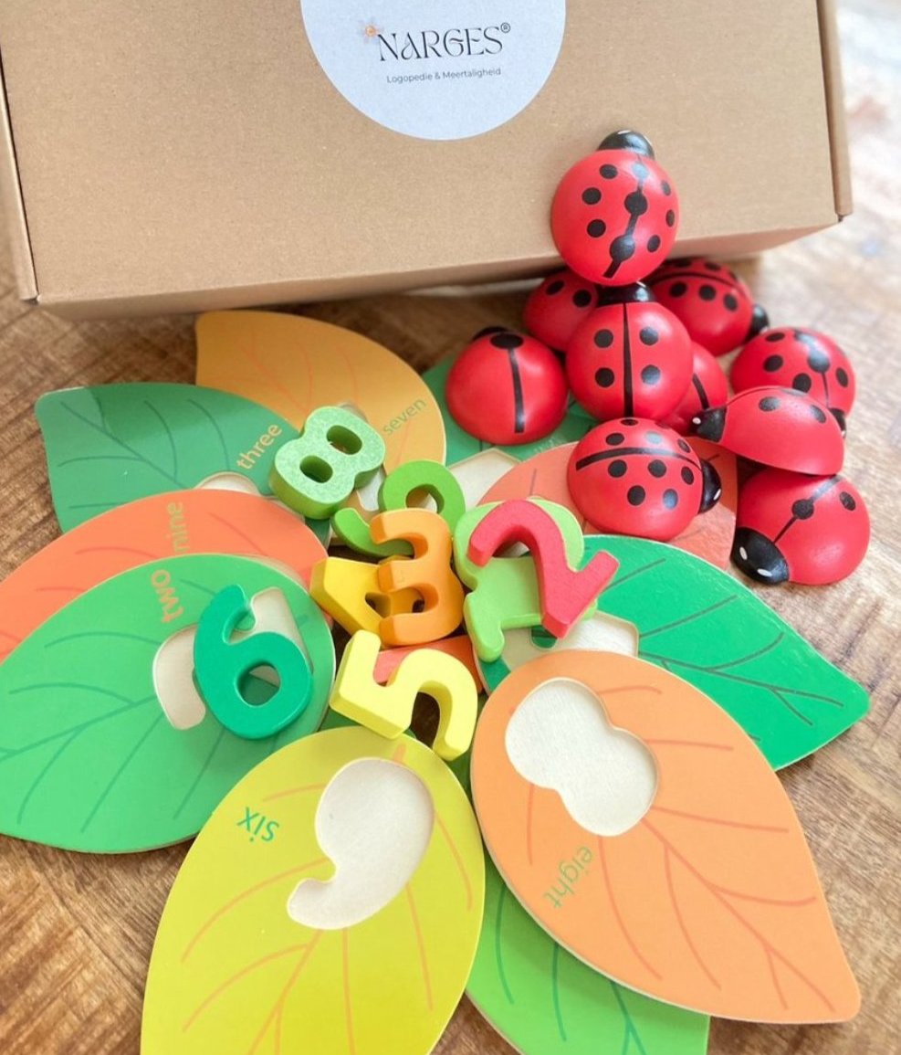 Narges®|Counting with Ladybirds